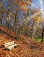 Wanderweg im berühmten Neandertal, Bergisches Land, Nordrhein-Westfalen, Deutschland foto