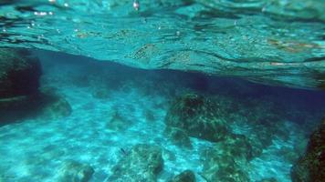 sardinien kristallwasser unterwasseransicht beim tauchen foto