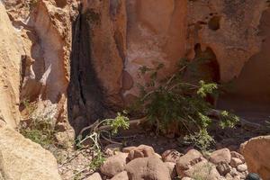 vulkanfelsen und stein baja california sur foto