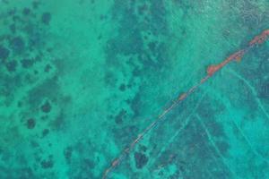 Karibisches Meer bedeckt von Sargasso-Algen in Tulum foto
