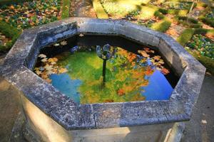 oktober herbst ahornblatt schwimmt auf dem wasser foto