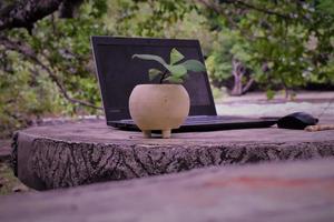 laptop und pflanze auf dem tisch im garten foto