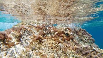 sardinien kristallwasser unterwasseransicht beim tauchen foto