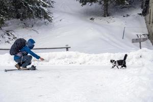 Katze und Mensch im Schnee in den Dolomiten foto