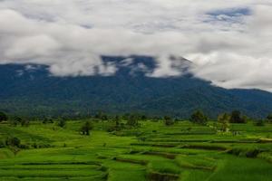 schöner morgendlicher blick vom panoramablick auf indonesische reisfelder mit berg foto