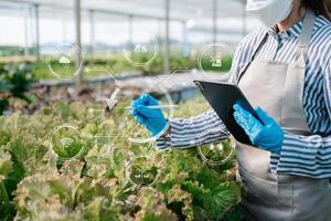 Mann übergibt Gartensalat im Bauernhof mit Wachstumsprozess und chemischer Formel auf grünem Hintergrund. mit VR-Symbol foto