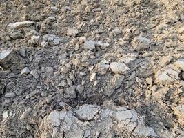 trockener Boden im landwirtschaftlichen Bereich foto