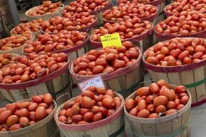 Bio-Obst und Gemüse Tomate foto