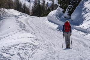 Schneetrekking in den Dolomiten foto