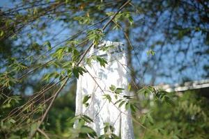 schönes weißes Hochzeitskleid, das in einem Baum hängt foto