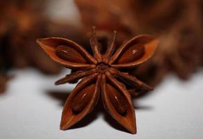 Braune Frucht Nahaufnahme Botanischer Hintergrund Illicium Verum Familie Schisandraceae Sternanis mit Samen Hochwertiger Großformatdruck foto