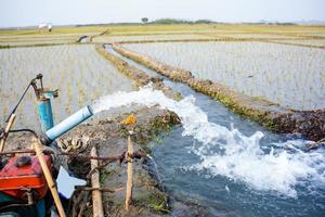 Bewässerung von Reisfeldern mit Pumpbrunnen mit der Technik, Wasser aus dem Boden zu pumpen, um in die Reisfelder zu fließen. die Pumpstation, wo Wasser aus einem Bewässerungskanal gepumpt wird. foto