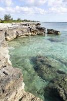 grand bahama island grünes wasser und erodiertes ufer foto