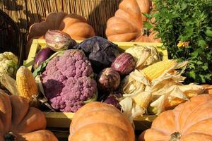 Bio-Kürbis und Gemüse in Holzkiste auf Landwirtschaftsmesse. Ernten des Herbstzeitkonzepts. Garten Herbst natürliche Pflanze. Thanksgiving-Halloween-Dekor. festlicher bauernhof ländlicher hintergrund. veganes Essen. foto