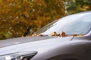 Gefallene gelbe Herbstblätter auf der Windschutzscheibe und Motorhaube des Autos, Herbstlaub, Transport foto