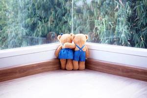 die freundschaft und beziehung zweier teddybären umarmen sich und betrachten den blick auf den bambus am fenster. foto