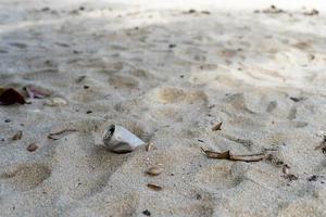 Nahaufnahmen von Getränkedosen, die an schmutzigen Stränden von Touristen zurückgelassen wurden. Müll verschmutzt und zerstört Küstenökosysteme und Strände. foto