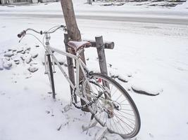 Fahrrad im Winter neben dem Baum geparkt. Schnee fällt auf das Fahrrad und die Fahrbahn wird weiß. foto