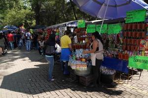 Mexiko-Stadt, 3. Februar 2019 - Stadtpark Chapultepec am Sonntag voller Menschen foto