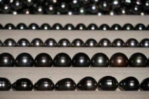 Schwarze Perlen aus Französisch-Polynesien foto