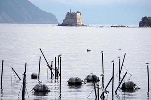 muschelfarm im mittelmeer foto