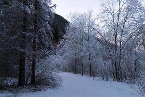 Eiszapfen gefrorenes Eis auf Grassee foto