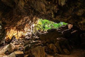 landschaft der höhle und des baums hup pa tat, uthai thani, thailand foto