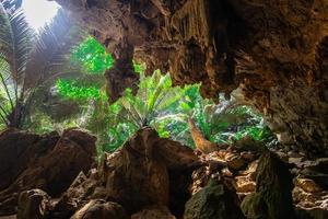 landschaft der höhle und des baums hup pa tat, uthai thani, thailand foto