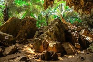 landschaft der höhle und des baums hup pa tat, uthai thani, thailand foto