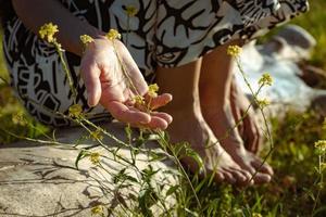 Frauenhand, die Blumen auf der Wiese berührt. foto