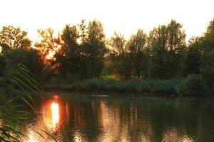 Donaulandschaft und Vegetation bei Sonnenuntergang zur goldenen Stunde foto