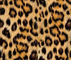 Nahtloses Leopardenmuster, Leopardenhaut, Tierdruck. foto