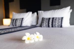 Frangipani-Blume oder Lan Thom im thailändischen Namen, befindet sich auf dem weißen Schlafzimmer mit Kingsize-Bett im Hotel mit Morgenlicht vom Außenraum. foto