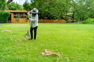 Gärtner fegt getrocknetes Bambusblatt auf der Rasenfläche im Garten. foto