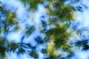 abstrakter naturhintergrund. Defocused Baumblätter auf Hintergrund des blauen Himmels foto