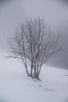 Winterlandschaft in den österreichischen Alpen foto