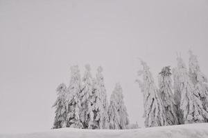 Bergwaldlandschaft an einem nebligen Wintertag foto