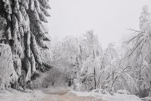 verschneite winterstraße in der bergregion nach starkem schneefall in rumänien foto