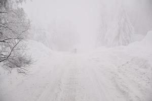 Bergwaldlandschaft an einem nebligen Wintertag foto