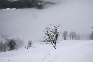 Winterlandschaft in den österreichischen Alpen foto