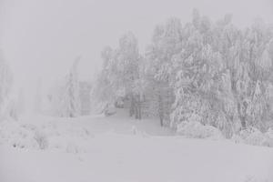 Bergwaldlandschaft an einem nebligen Wintertag foto