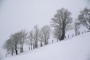 Winterlandschaft in den österreichischen Alpen foto