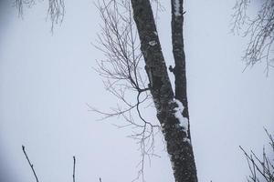 Winterlandschaft in den österreichischen Alpen foto