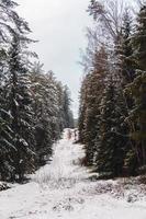 schneebedeckter Hang im Winter foto