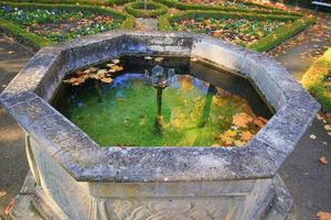 oktober herbst ahornblatt schwimmt auf dem wasser foto