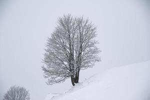 Winterlandschaft in den österreichischen Alpen foto