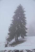 Winterlandschaft in den österreichischen Alpen foto