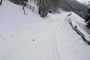 Winterlandschaft in den österreichischen Alpen foto