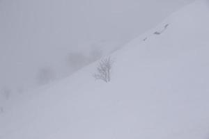 Winterlandschaft in den österreichischen Alpen foto