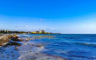 tropisch karibischer strand wasser algen sargazo playa del carmen mexiko. foto